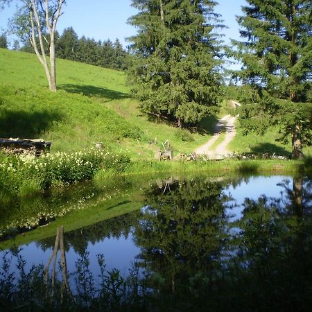 GutenbachGrundhaeusle公寓 外观 照片